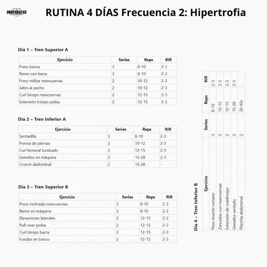 Rutina de 4 días para hipertrofia frecuencia 2 para hombres