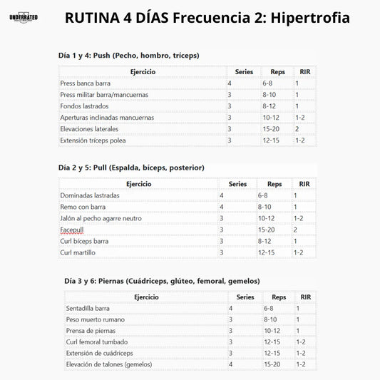 Rutina de entrenamiento PUSH PULL LEGS 6 días