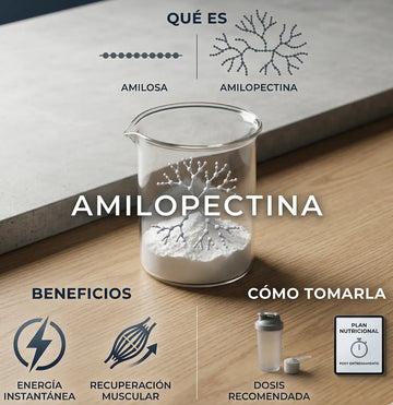 Amilopectina qué es, beneficios y cómo tomarla 2026
