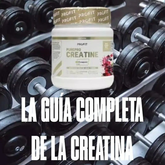 Guía completa sobre creatina dosis diaria, recomendaciones y beneficios