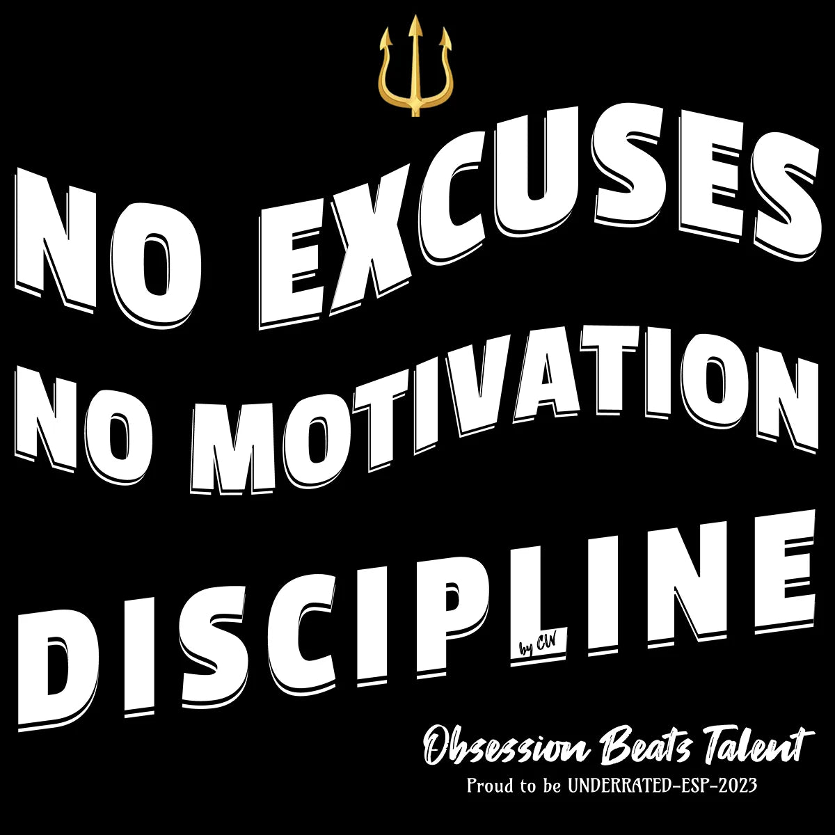 Camiseta oversize NO EXCUSES NO MOTIVACIÓN DISCIPLINE